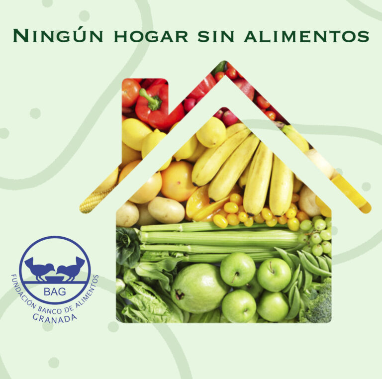 Ningún hogar sin alimentos